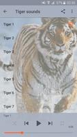 Tiger sounds poster