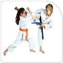 Karate for beginners APK