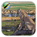 Parc national du Serengeti APK