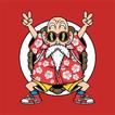 Master Muten Roshi Wallpaper Art