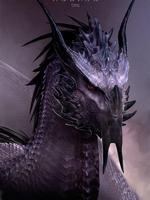Dragon Wallpaper скриншот 3