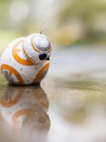 1 Schermata BB8 Wallpaper