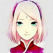 Sakura Haruno Wallpaper