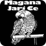 Magana Jari Ce Audio 아이콘