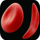 SICKLE CELL DISEASE (SCD) アイコン