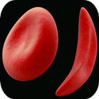 SICKLE CELL DISEASE (SCD) biểu tượng