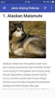 Jenis Jenis Anjing Di Dunia DogLover পোস্টার