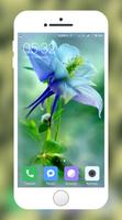 Lily Wallpapers اسکرین شاٹ 2