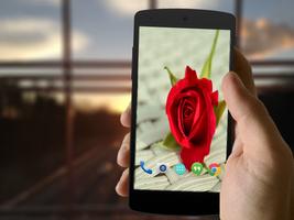 Rose Wallpapers পোস্টার