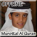 Murottal Juz 30 Thaha Al Junayd Offline APK
