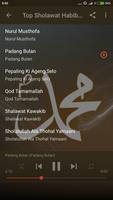 Lagu Sholawat Habib Syech Lengkap offline screenshot 3