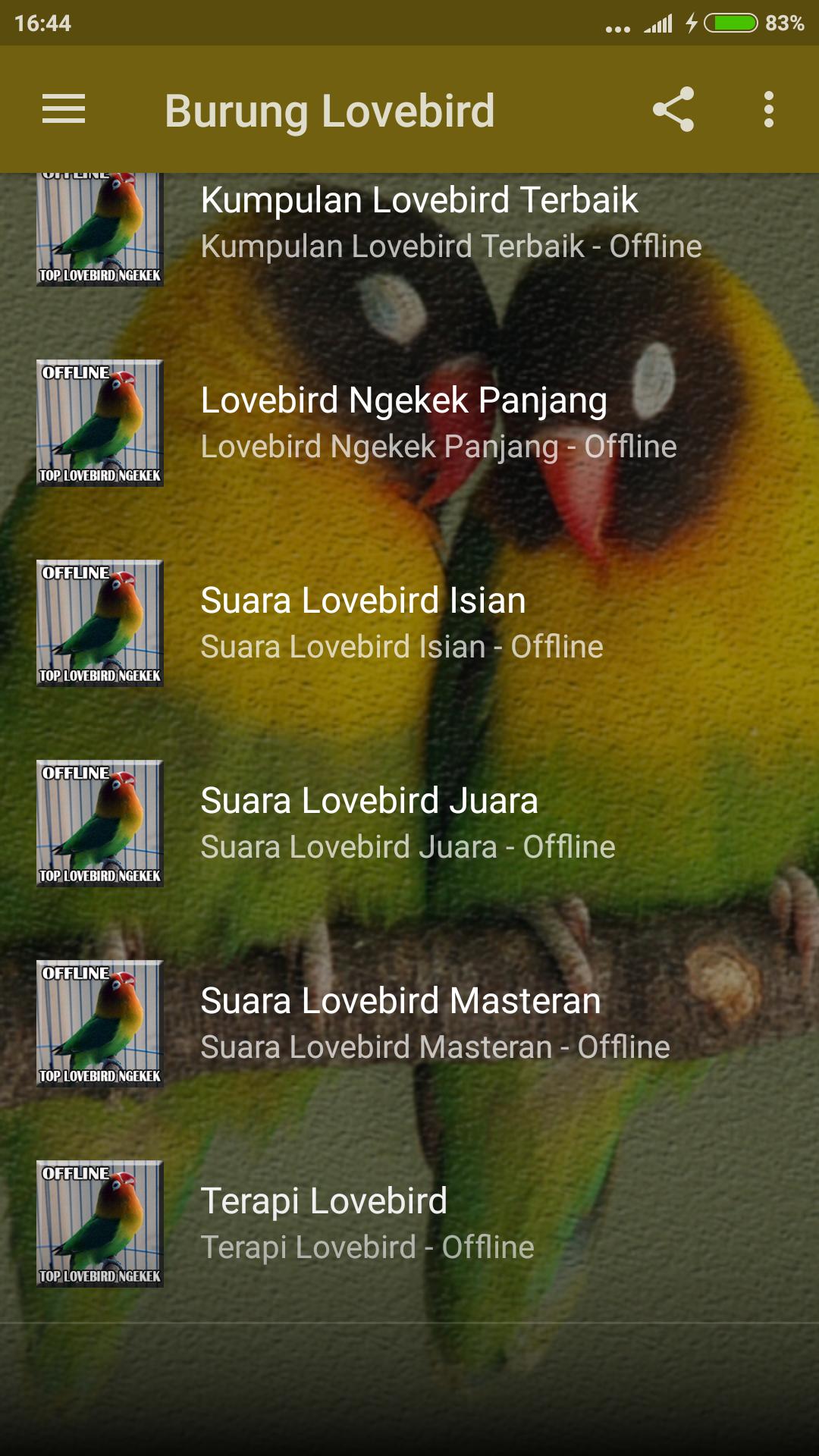 Download Suara Burung Lovebird Ngekek Panjang Mp3 ...