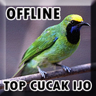 Suara Burung Cucak Ijo Gacor Offline icône
