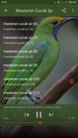 Suara Burung Cucak Ijo Gacor Offline capture d'écran 3