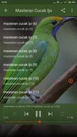 Suara Burung Cucak Ijo Gacor Offline Screenshot 3