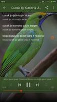 Suara Burung Cucak Ijo Gacor Offline poster