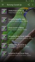 Suara Burung Cucak Ijo Gacor Offline Screenshot 1