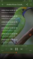 Suara Burung Cucak Ijo Gacor Offline capture d'écran 2