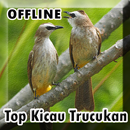 Suara Burung Trucukan Gacor Offline APK