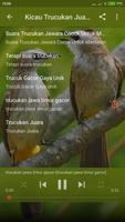 Suara Burung Trucukan Gacor Offline screenshot 3