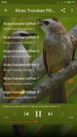 Suara Burung Trucukan Gacor Offline poster