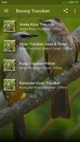 Suara Burung Trucukan Gacor Offline screenshot 1