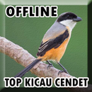 Suara Burung Cendet Mp3 Offline APK