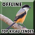 Suara Burung Cendet Mp3 Offline-icoon