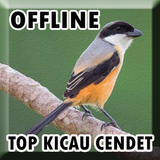 Suara Burung Cendet Mp3 Offline icône