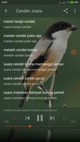 Suara Burung Cendet Mp3 Offline capture d'écran 3
