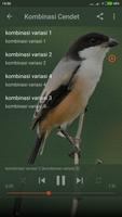 Suara Burung Cendet Mp3 Offline Plakat