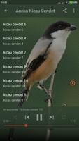 Suara Burung Cendet Mp3 Offline Screenshot 2