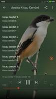 Suara Burung Cendet Mp3 Offline captura de pantalla 2