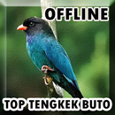 Masteran Tengkek Buto Offline APK