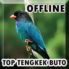 Masteran Tengkek Buto Offline icon