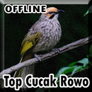 Suara Burung Cucak Rowo Gacor Offline APK