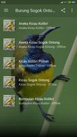 Kicau Sogok Ontong Gacor Offline capture d'écran 1