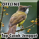 Suara Cucak Jenggot Gacor Offline APK