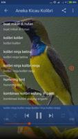 Suara Burung Kolibri Kelapa Mp3 capture d'écran 3