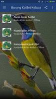 Suara Burung Kolibri Kelapa Mp3 capture d'écran 1