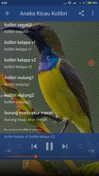 Suara Burung Kolibri Kelapa Mp3 For Android Apk Download