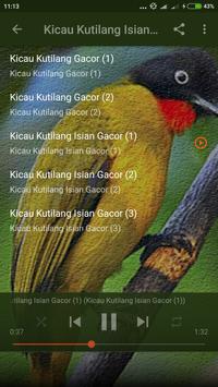 Suara Burung Kutilang Emas Mp3 For Android Apk Download
