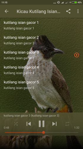 44+ Suara burung kutilang emas betina mp3 terupdate