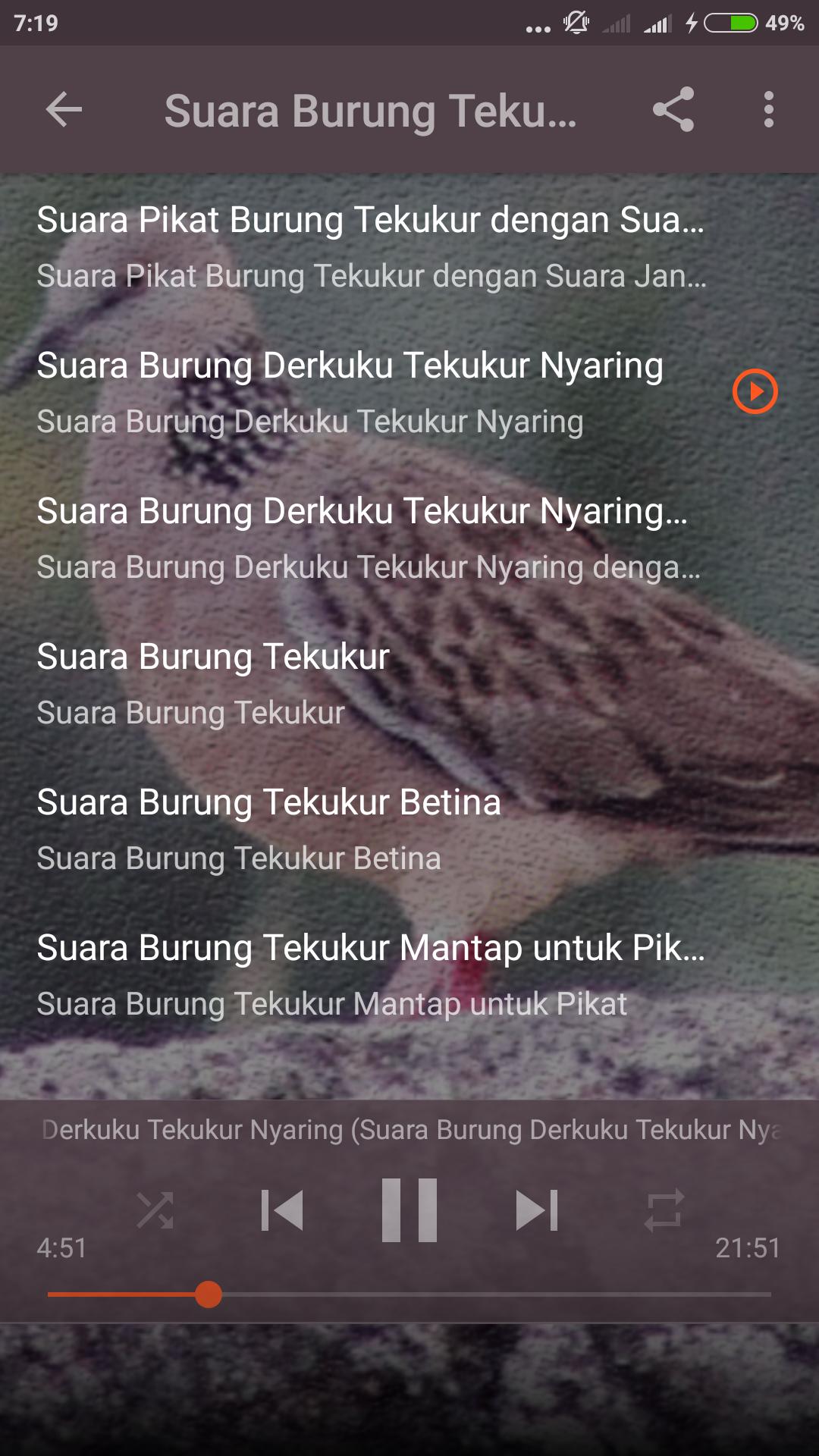 Suara Burung Tekukur Pikat For Android Apk Download