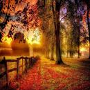 Autumn Landscapes APK