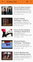 Learn Kung Fu Techniques screenshot 1