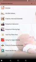 Post Pregnancy Recovery پوسٹر