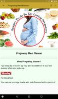 Pregnancy Diet captura de pantalla 2