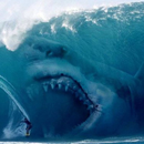 Megalodon Prehistoric Giant Shark Videos APK