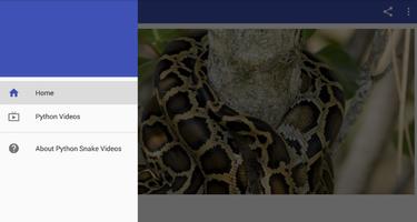 Python Snake Videos Cartaz